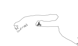 longest track