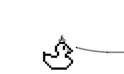 duck