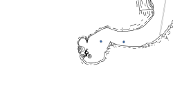 Valley Collab (Desc.)