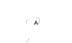 Hold A