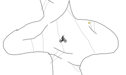 tracks