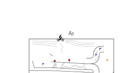 detailed trial