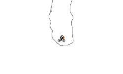 Helicopter auto