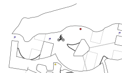cave tubers