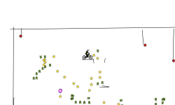 auto level