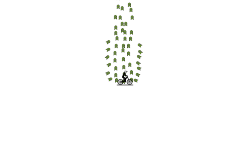 World's Shortest auto