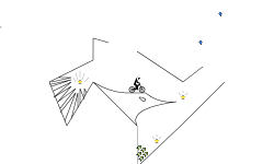 The Bird