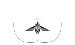 The holy owl