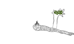 (VERY) weird tree