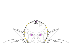 ORC WARRIOR