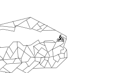 Geometric