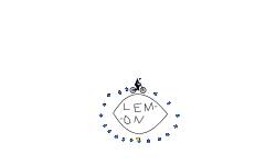 The lemon