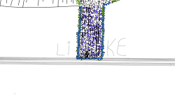 TAMMILLOSSAURO
