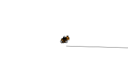 Flyyyyyyyyyyyyyyyyyyyyyyyyyy#2