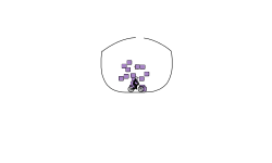 blob