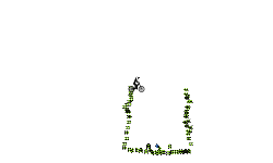 to the moon