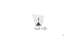 Sling Shot. Hold Right