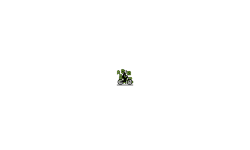 Short, straight lines (auto)