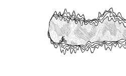 Track N.43