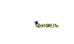 Auto Blob