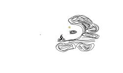 Trial