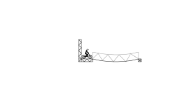 Jungle bridge to death