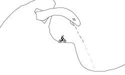 Random stuff