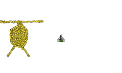 The chopper