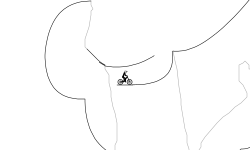 two-way race