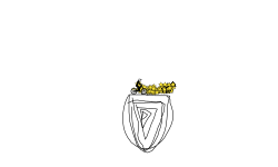 10000
