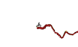 bomb path