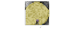 555 star blob track