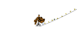 the speed