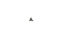 Auto Wall rider