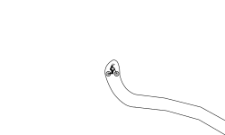 small endo