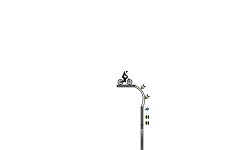 Staircase Showdown