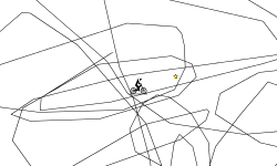 Scribble Drawing