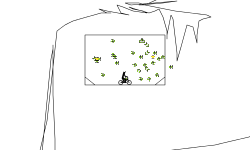 Read Description