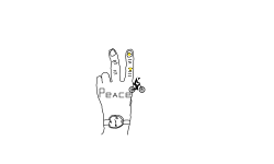 Peace