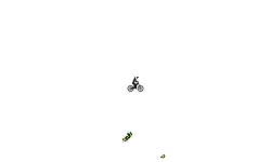 bird attack