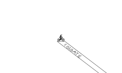 Speedy Quick Brush