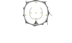 Concentric