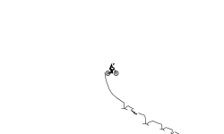 wheelie auto