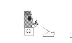 Bird without legs