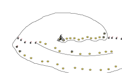 star course