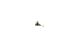 the flying motion plan