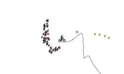 Desert MTB and BMX