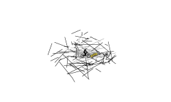 The Scribble Track 2