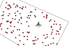 Short Track Zero