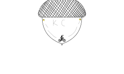 Acorn